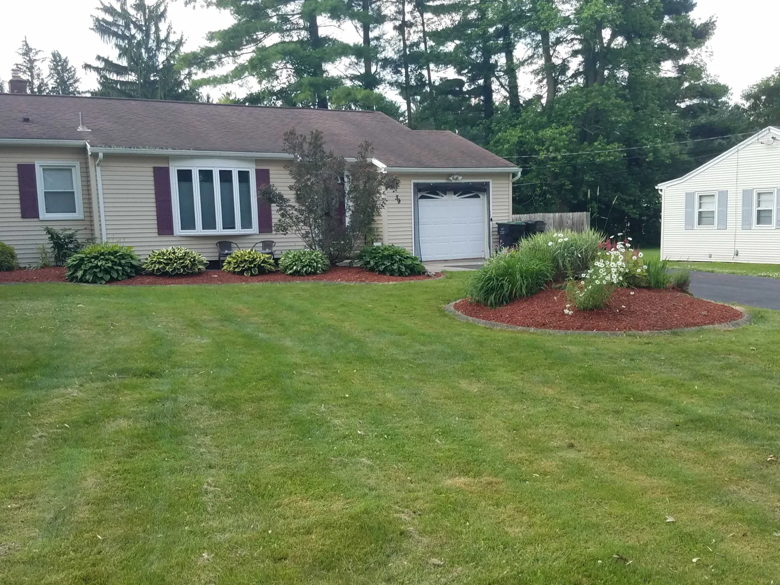 A mowed lawn, trimmed shrubs and a red-mulched bed of flowering plants along the front of a ranch house