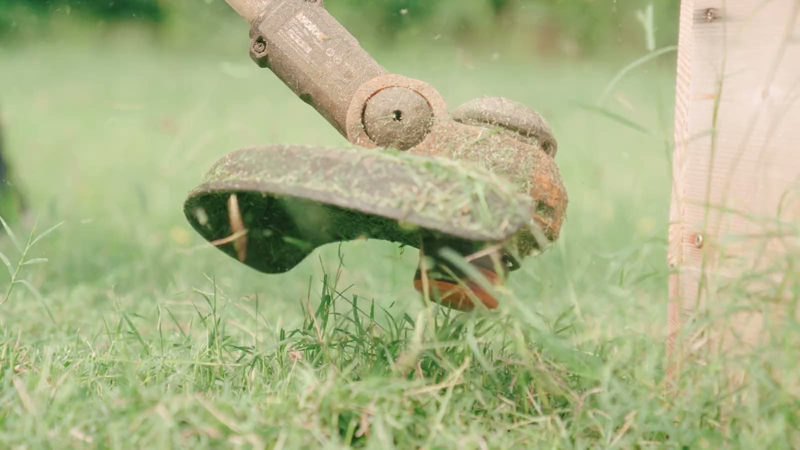 A string trimmer cutting long grass, close up